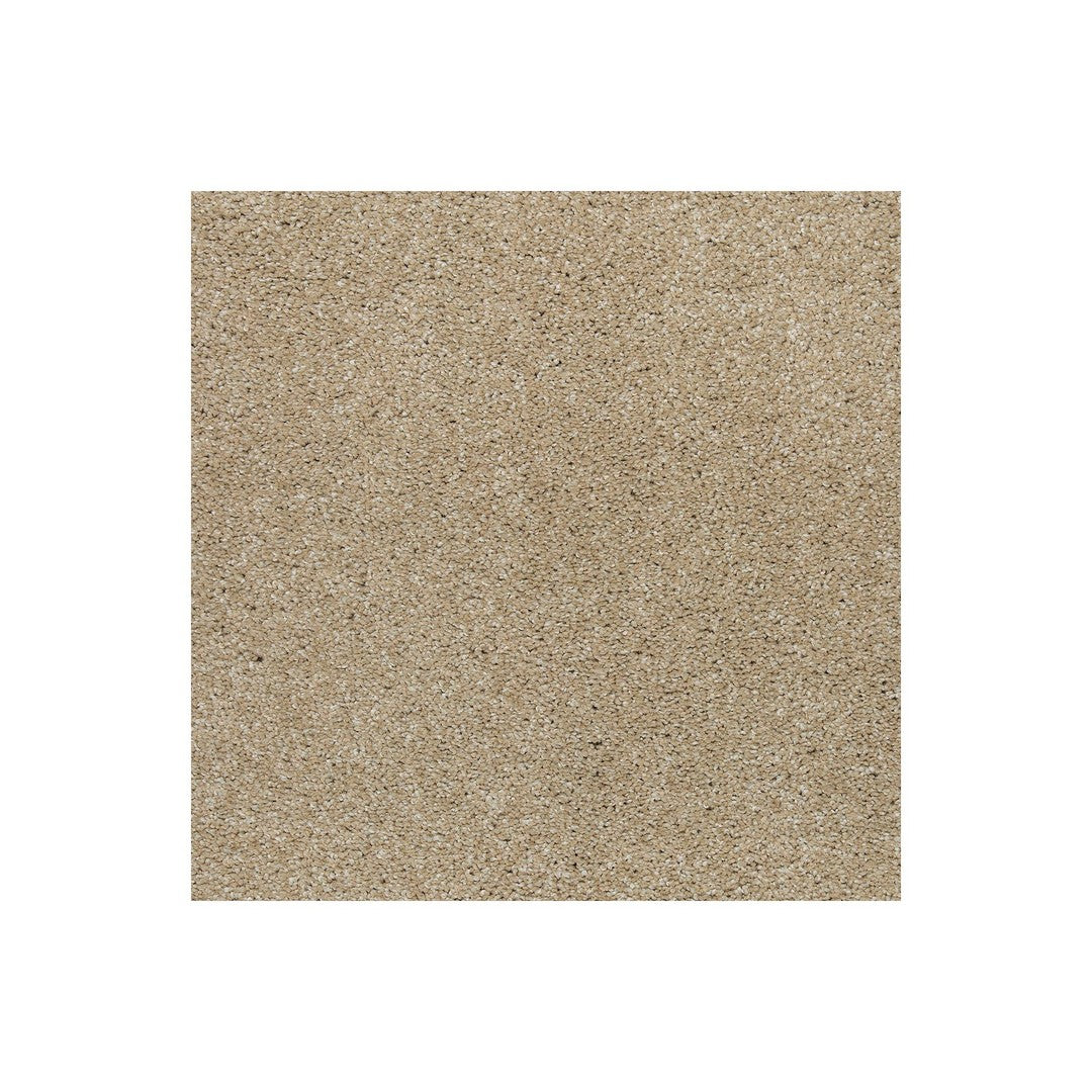 Native Allure II in Sand Dollar
