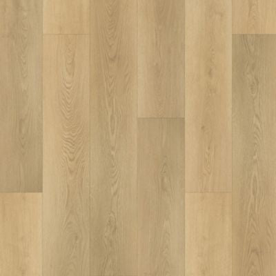 Hazelwood Drift in Cami