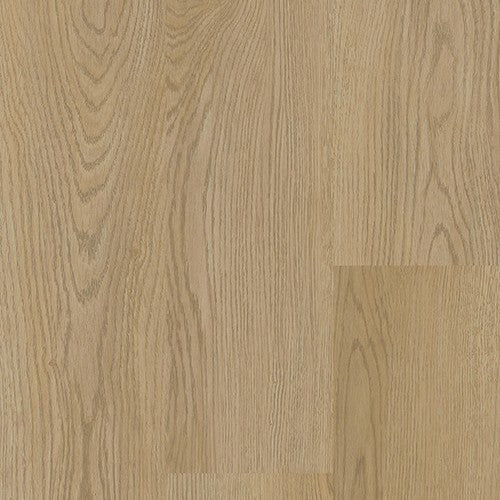 InStudio 20 in Classic Oak Gold