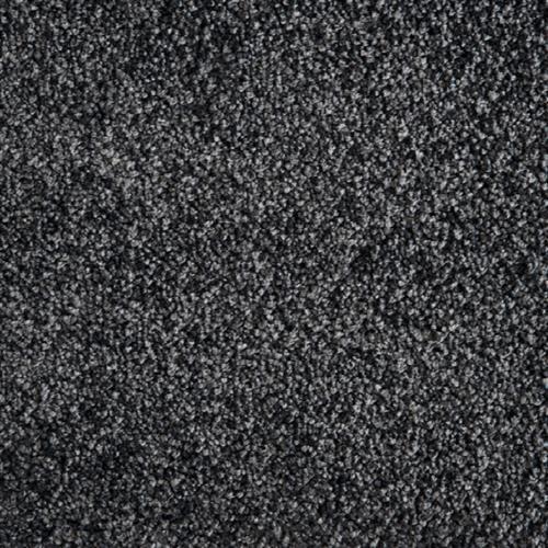 Avantgarde - Shaggy Grove in Graphite