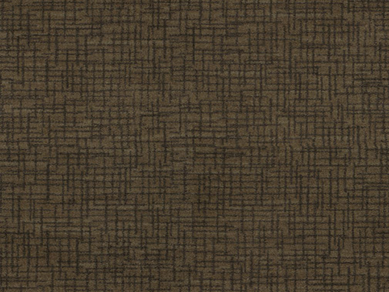 Imagine -  Graydon in Cognac