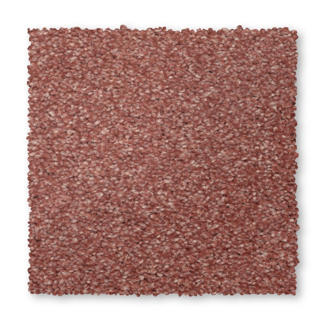 Radiant Tone in Cool Blush