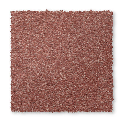 Radiant Tone in Cool Blush