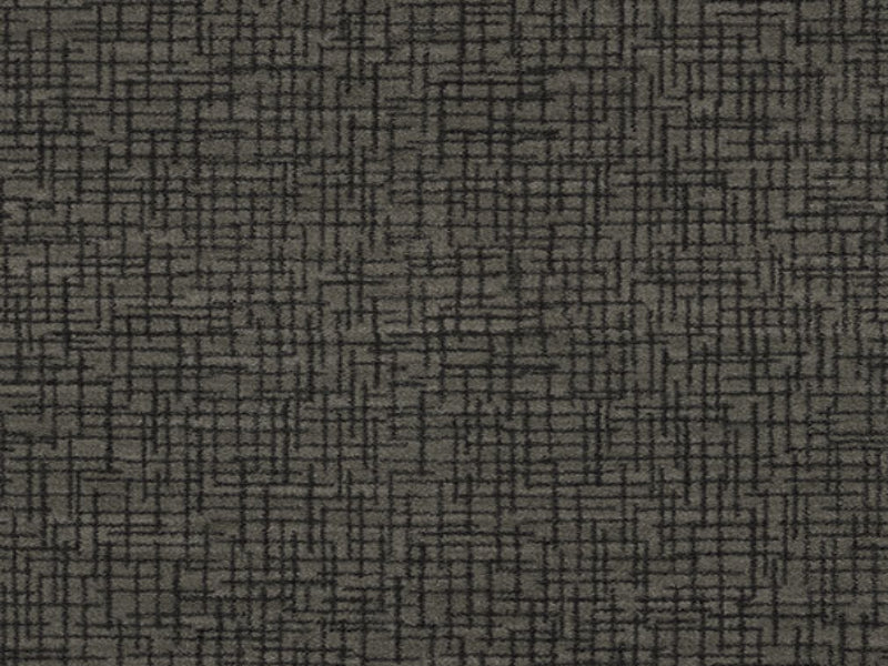 Imagine -  Graydon in Graphite