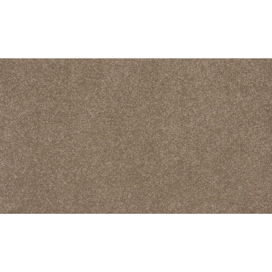 Timeless Saga II in Camel Stone