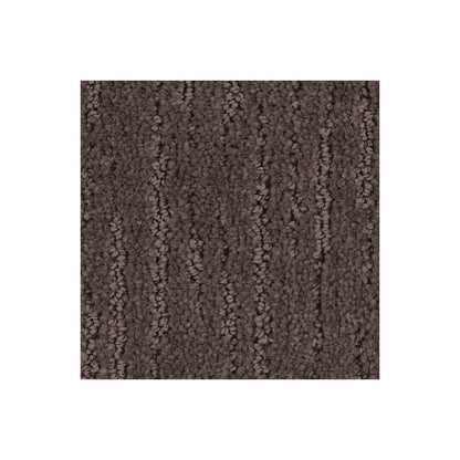 Permanent Direction in Swiss Cocoa