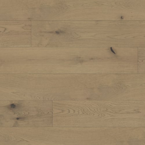 Maestro in Mercury Hardwood