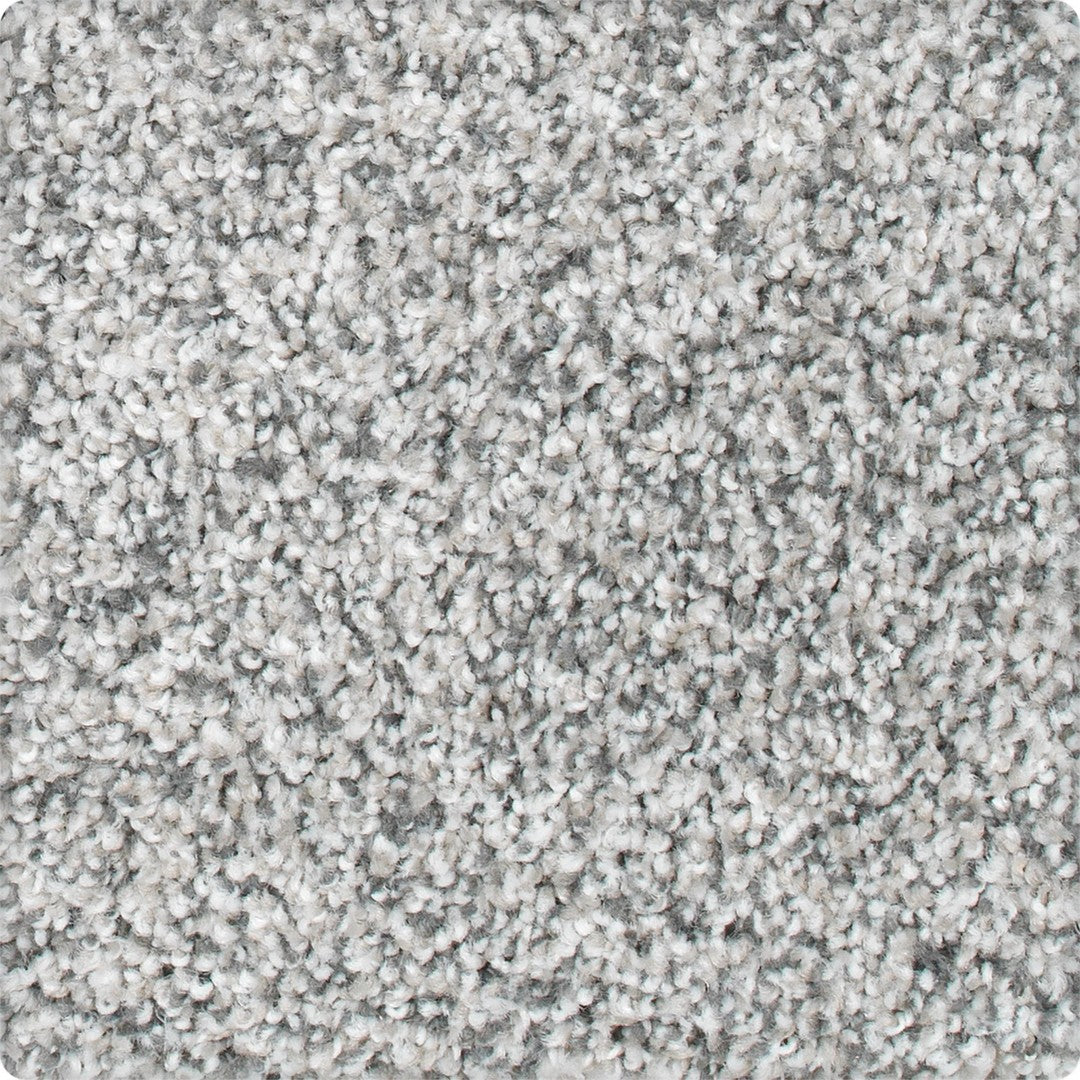 Fascinating Allure in Faint Maple