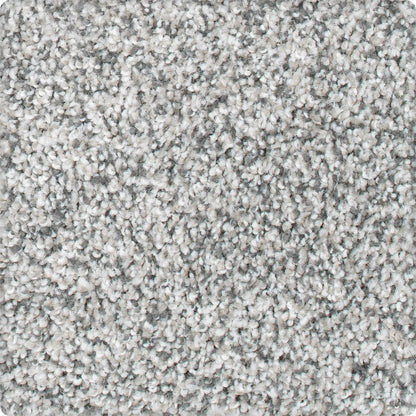 Fascinating Allure in Faint Maple