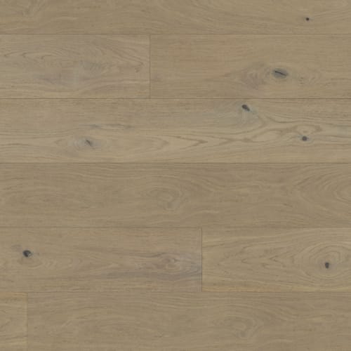 Maestro in Mitchell Hardwood