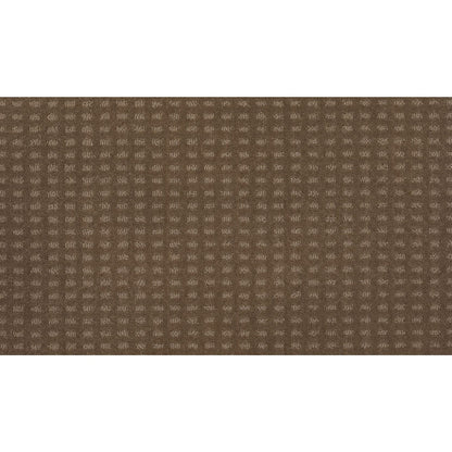 Popular Appearance in Sahara Sands