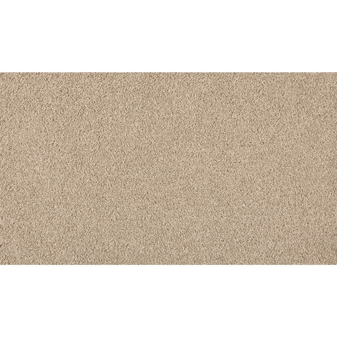 Timeless Saga III in Dusky Willow