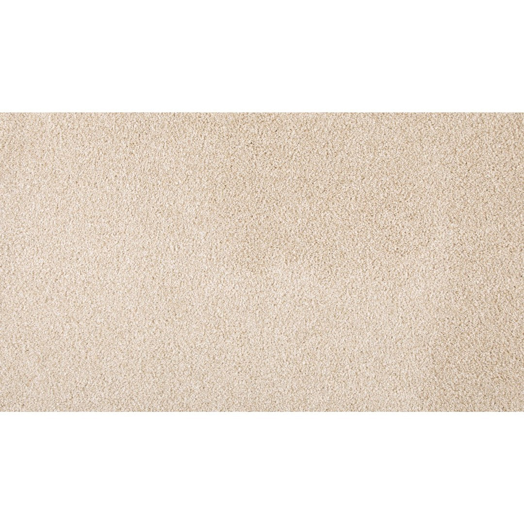Timeless Saga III in Cashmere