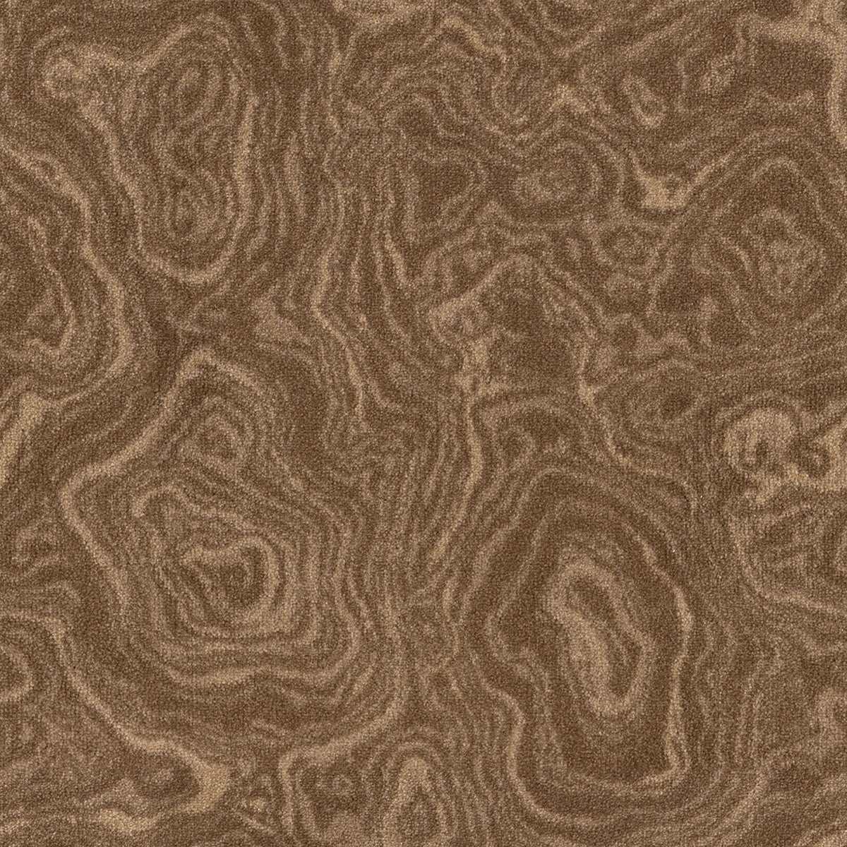 Imagine Figurative - Nature's Gem in Bronze