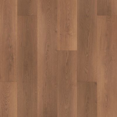 Hazelwood Drift in Rory