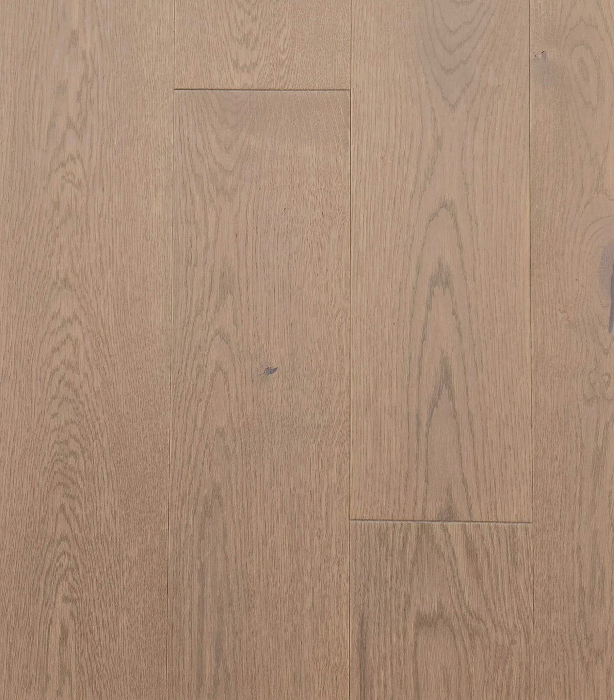 Millcreek Oak Eu  in Organza