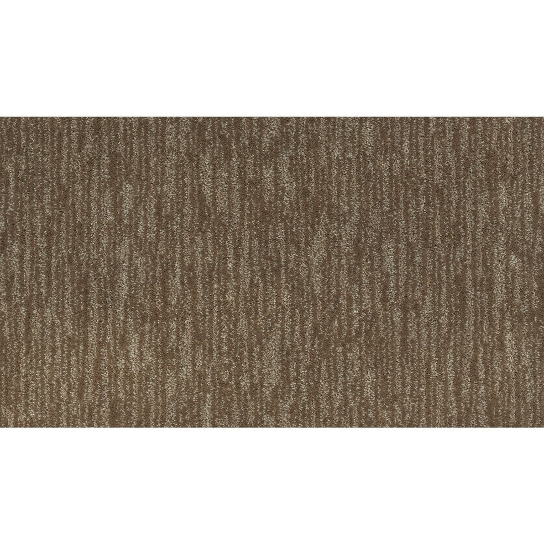 Enchanting Regard in Nutmeg