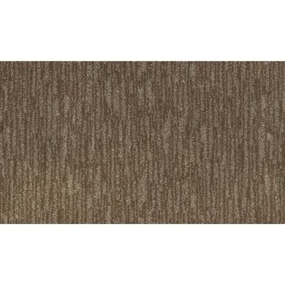 Enchanting Regard in Nutmeg