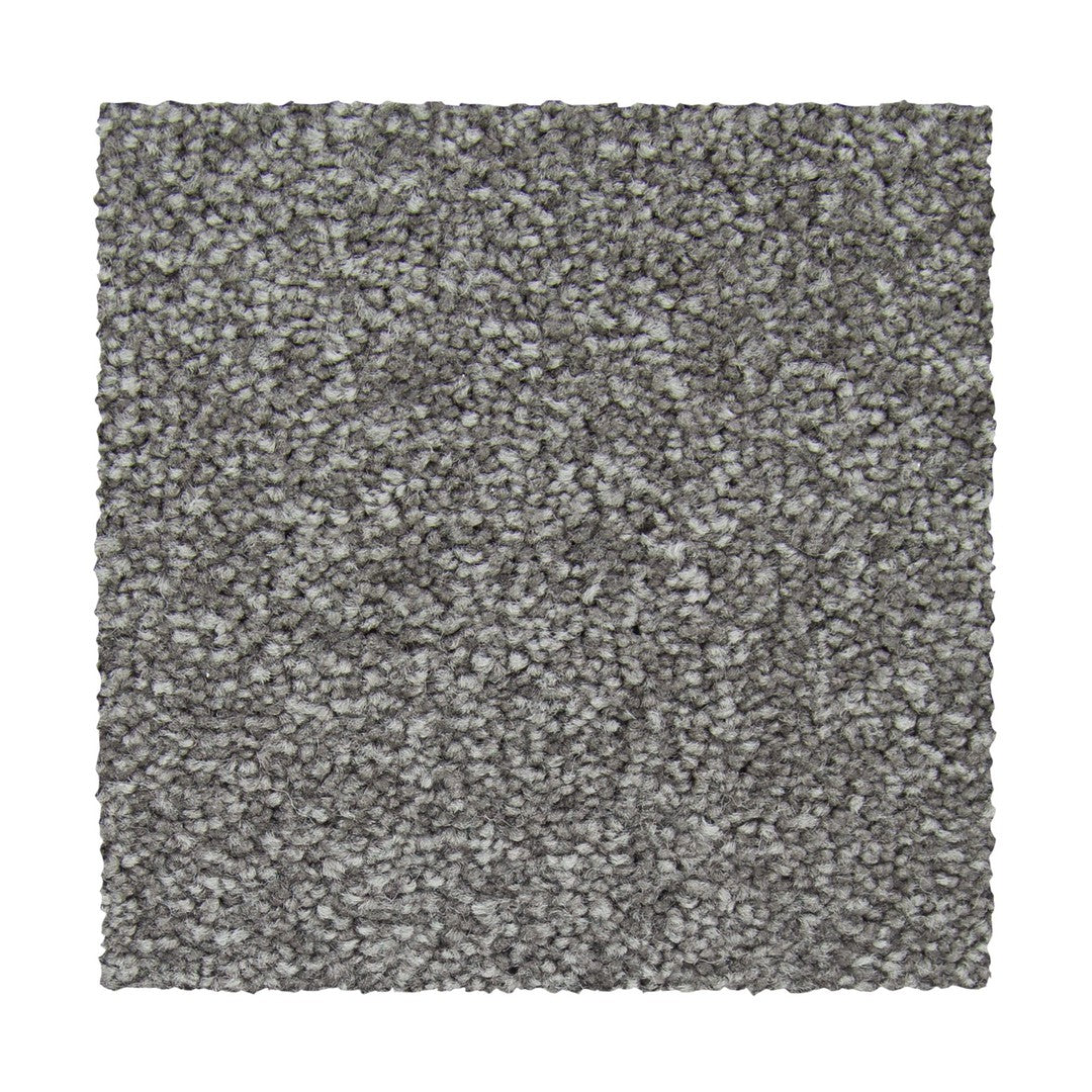 Appealing Glamor in Alden Charcoal
