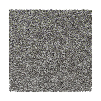 Appealing Glamor in Alden Charcoal