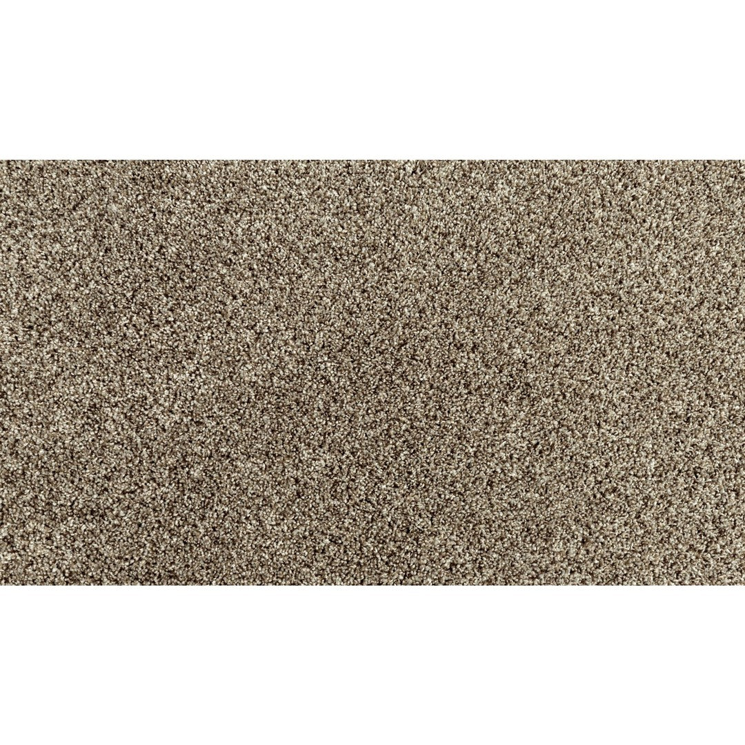 Essential Factors II in Shimmer Ash