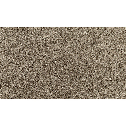 Essential Factors II in Shimmer Ash