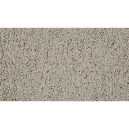 Meow Mosaic in Dune Drift