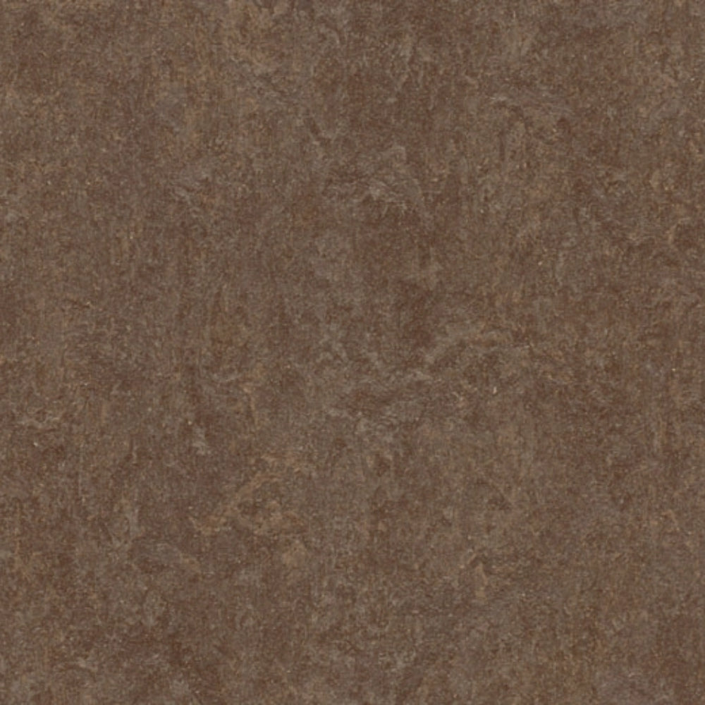 Marmoleum - Cinch Loc Seal in Walnut