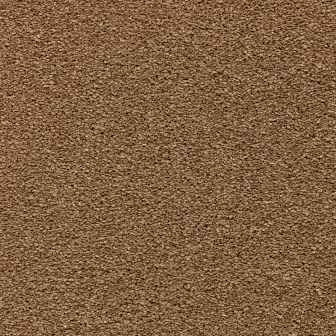 Appealing Glamor in Caramel Ripple