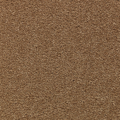 Appealing Glamor in Caramel Ripple