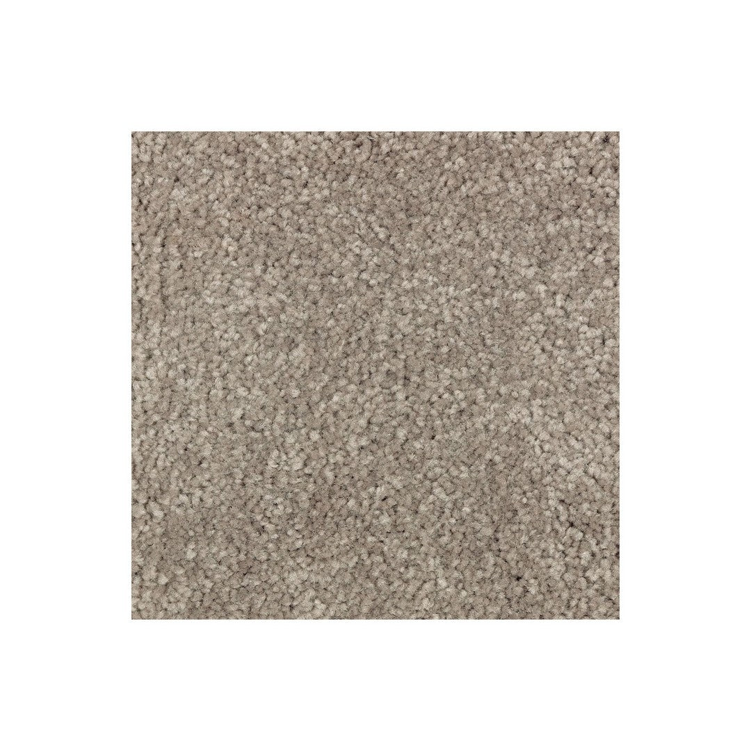 Simple Touch I in Tomorrow's Taupe