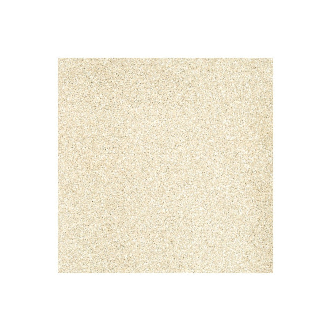 Native Allure I in Sand Dollar