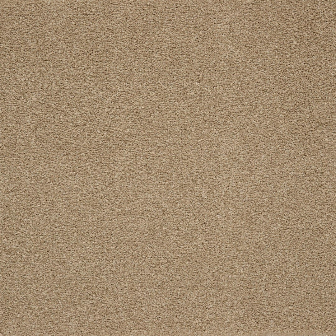 Captivating Style in Canyon Shade