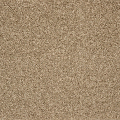 Captivating Style in Canyon Shade