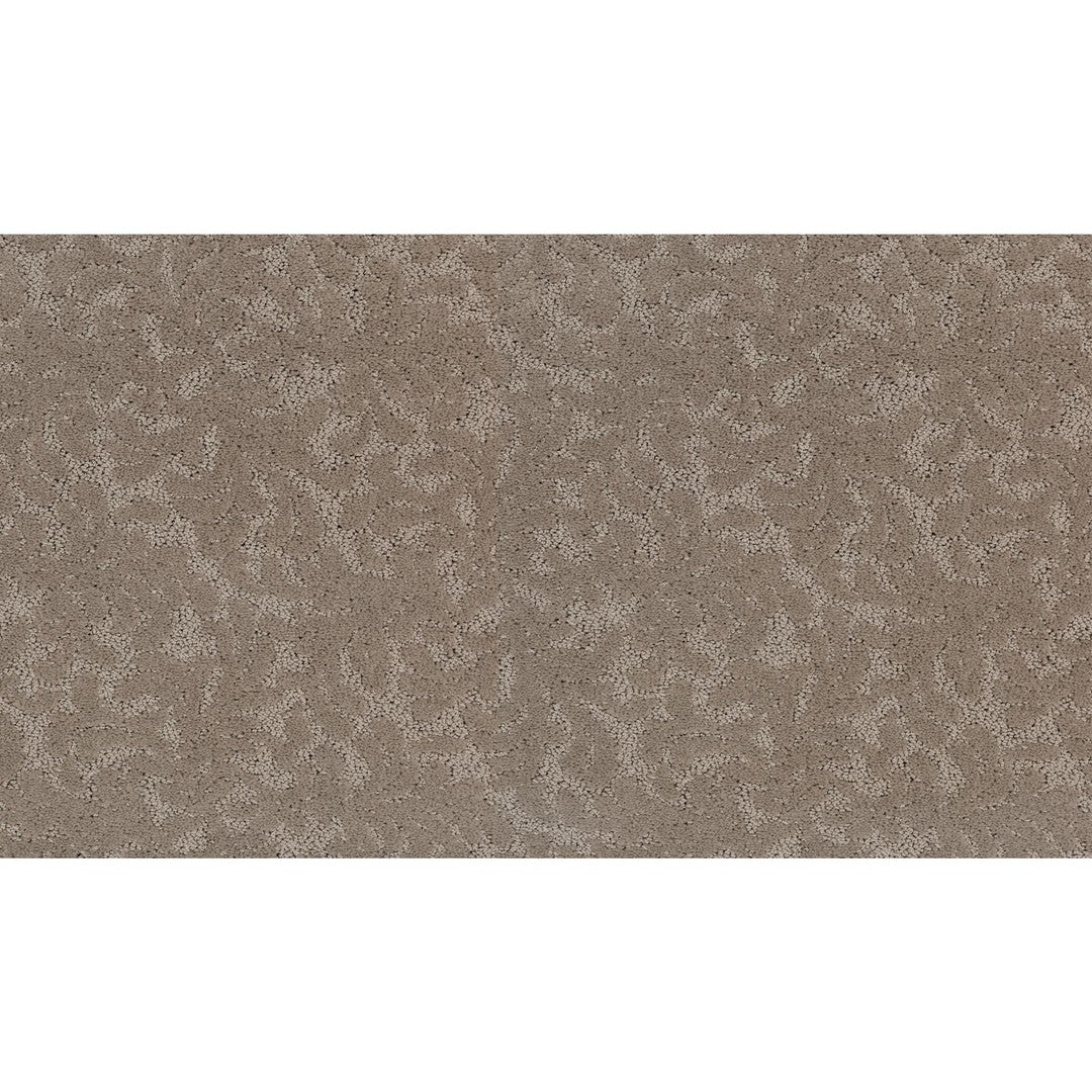 Natural Legacy in Hillside Sand