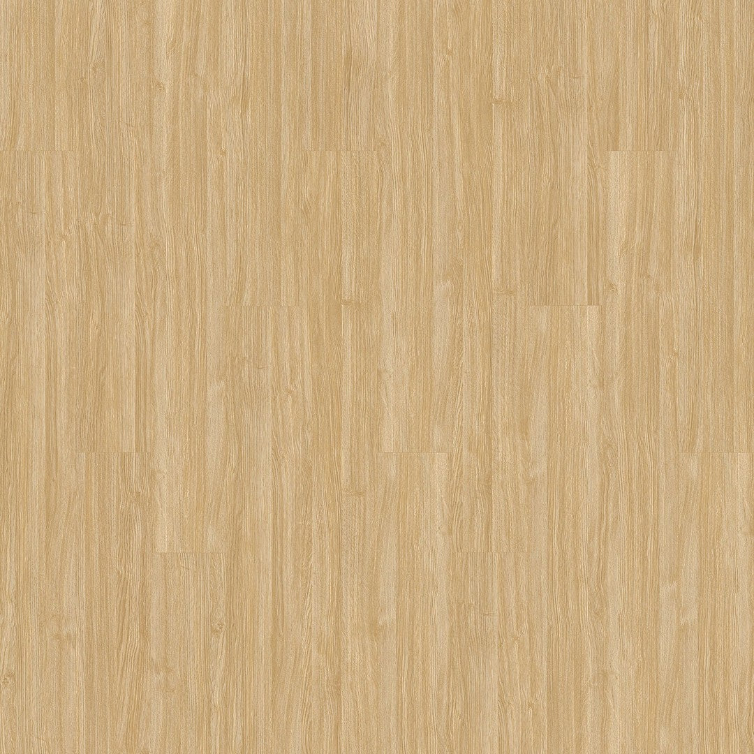 Pro Solutions IV in Camel