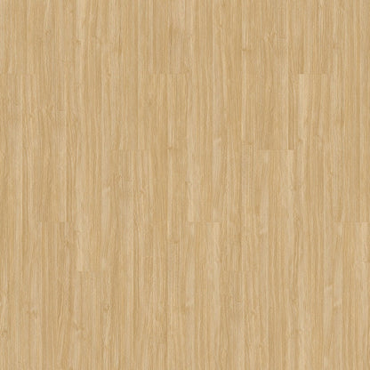 Pro Solutions III in Camel