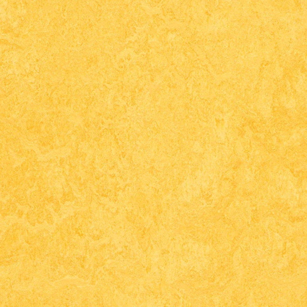 Marmoleum - Cinch Loc Seal in Lemon Zest