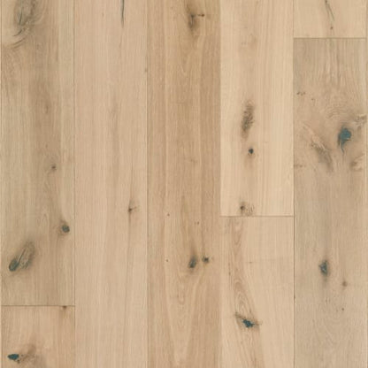 Latitude Collection - Sanctuary in Shell Hardwood