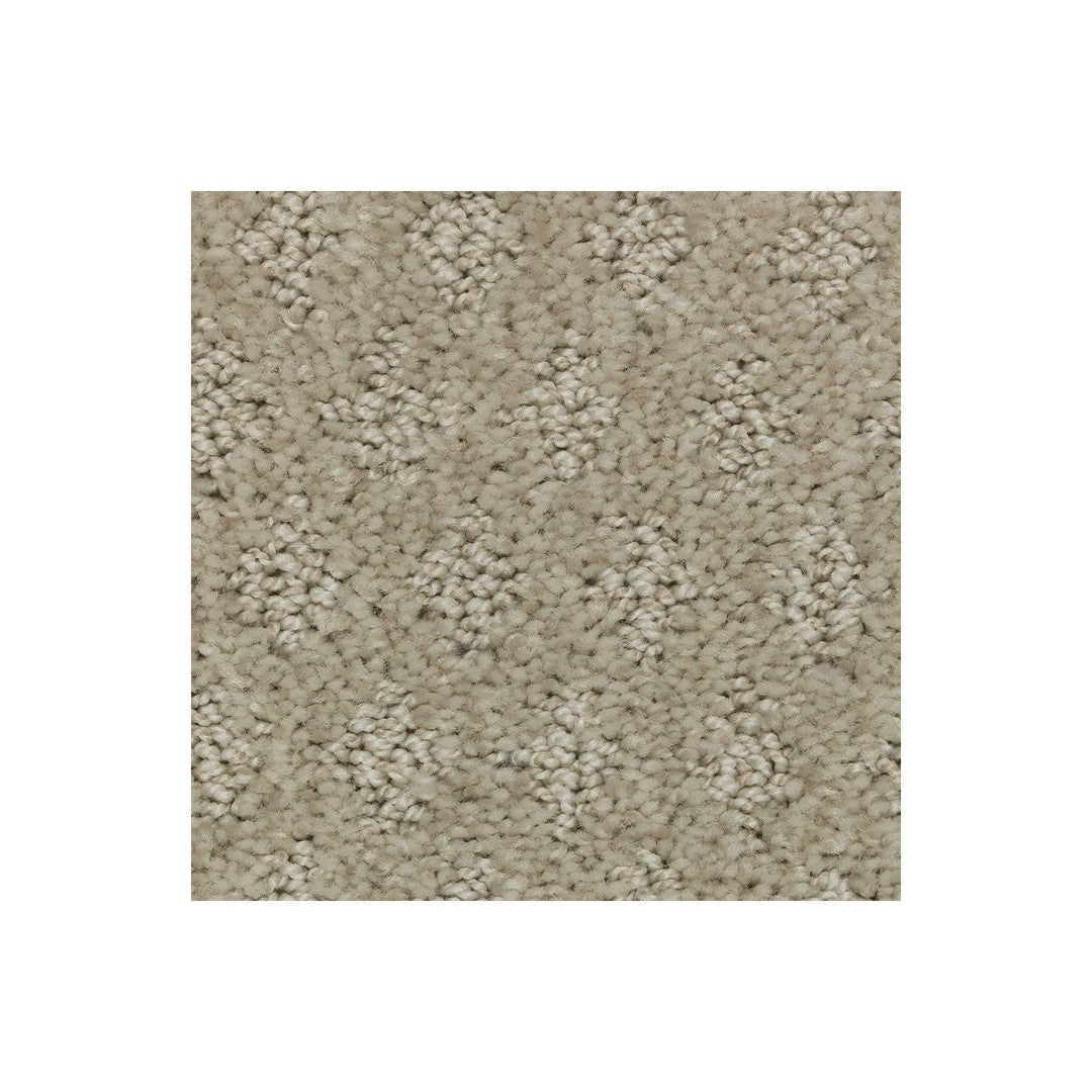 Bountiful Elegance in Sand Dollar