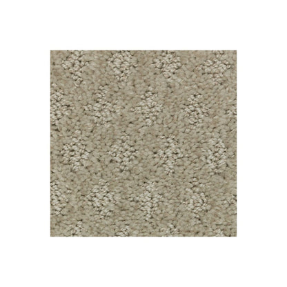 Bountiful Elegance in Sand Dollar