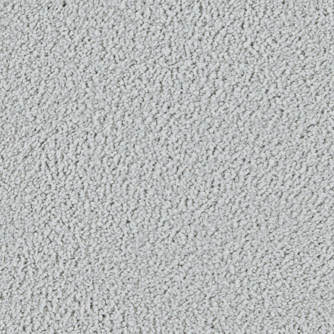 Luxurious Class in Winter Ash