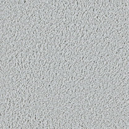 Luxurious Class in Winter Ash