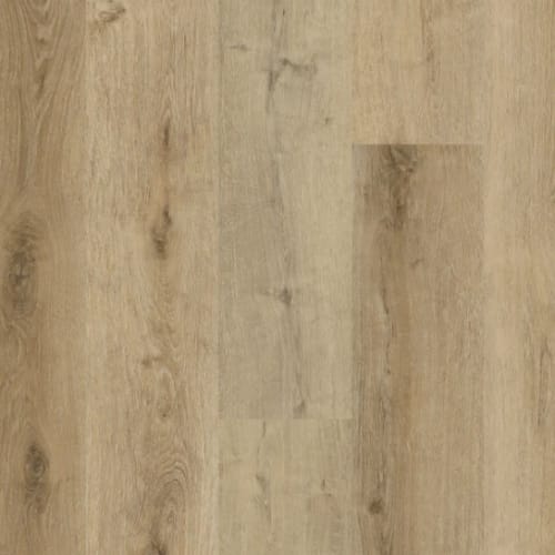 Traktion in Trailbreak Luxury Vinyl