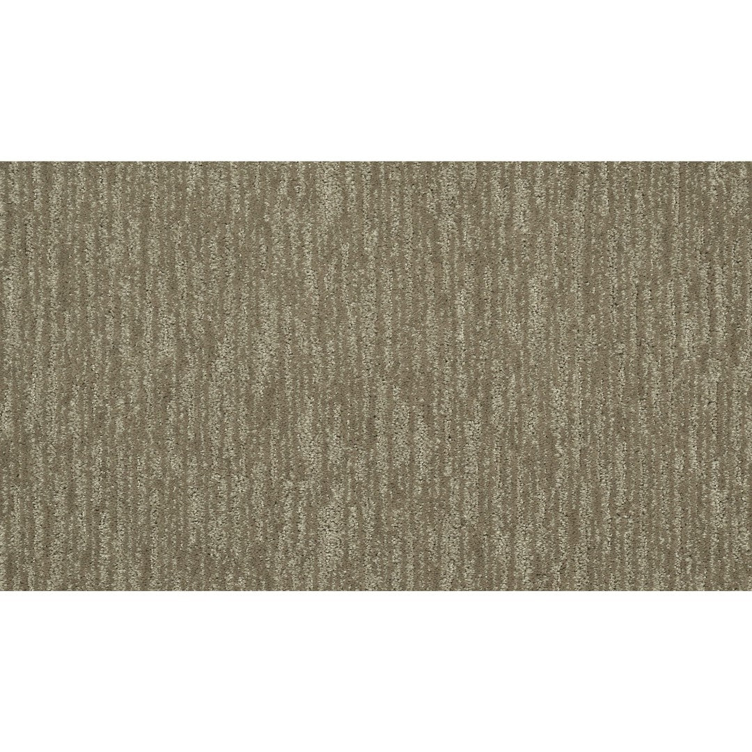 Enchanting Regard in Urban Taupe