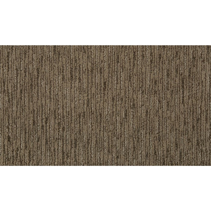 Classic Features in Jute