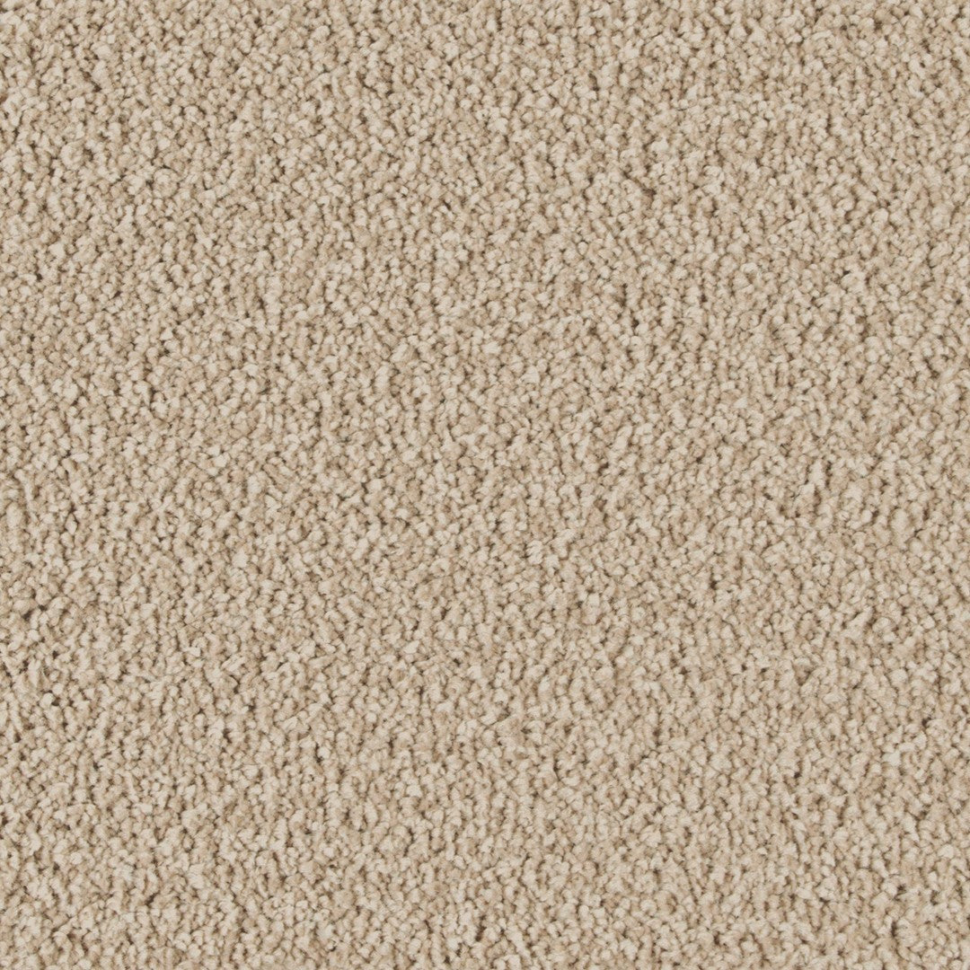 Luxurious Class in Victorian Beige