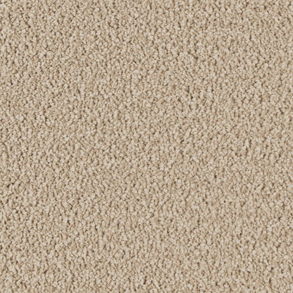 Luxurious Class in Victorian Beige