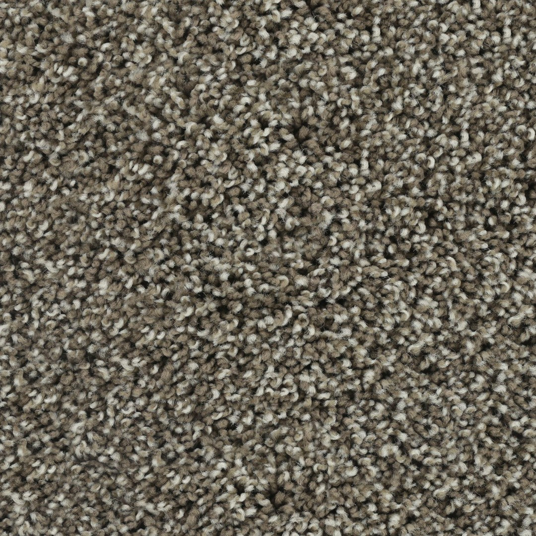 Stylish Estate in Taupe Shadow