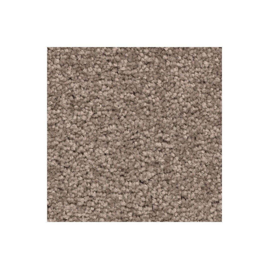 Vivid Instinct in Mesquite Chip